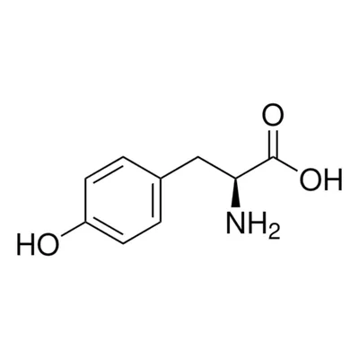 L-Tyrosine molecule